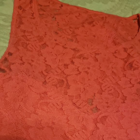 Express Lace Dress - Picture 3 of 6